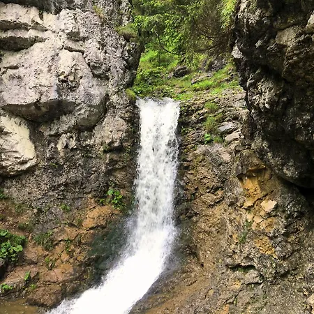 Nyaraló Veselá Pri Mare