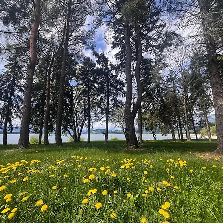 Nyaraló Veselá Pri Mare Tarnóc