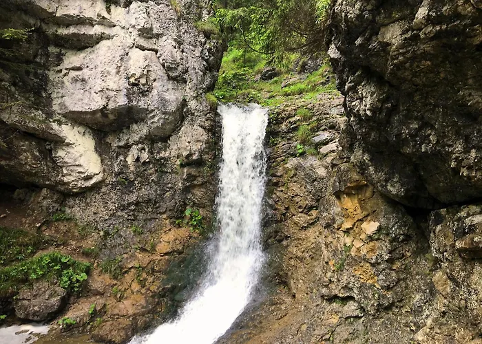 펜션 Vesela Pri Mare