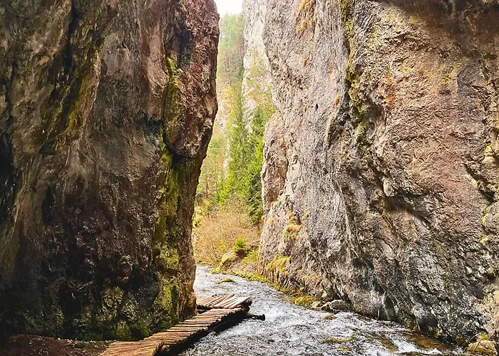 Vesela Pri Mare 립토브스키트로노벡