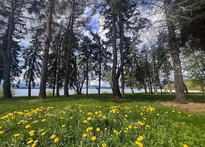 펜션 Vesela Pri Mare 립토브스키트로노벡